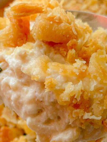 A close-up of a spoonful of creamy casserole topped with crispy golden breadcrumbs, garnished with small herbs. In the background, more of the casserole is visible in a white dish.