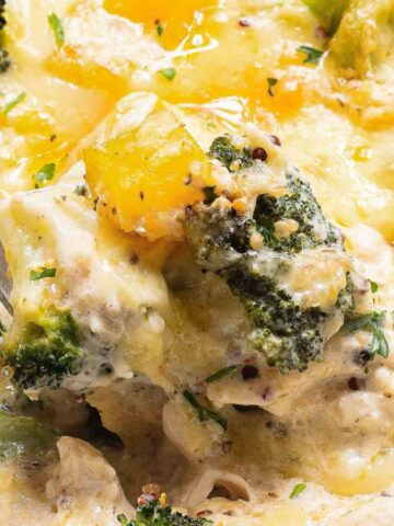 A close-up of a creamy casserole featuring broccoli, chicken, and melted cheese. A spoon is lifting a portion that includes a piece of yellow bell pepper. The dish is garnished with herbs.