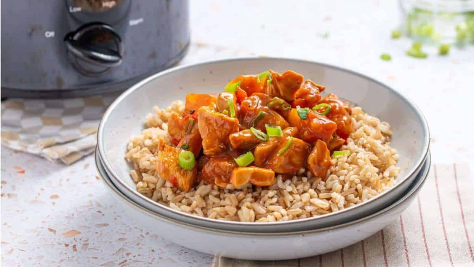 A bowl of rice and chicken in front of a crockpot.