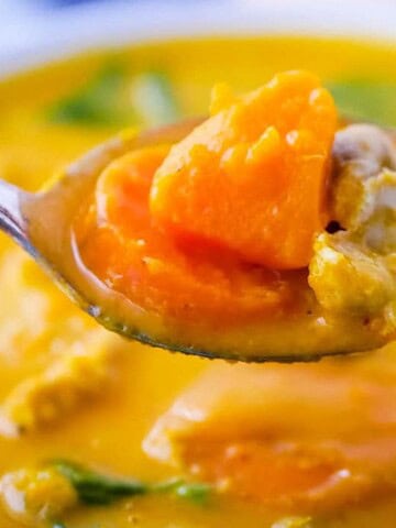 An Instant Pot recipe featuring a spoonful of chicken and squash soup.