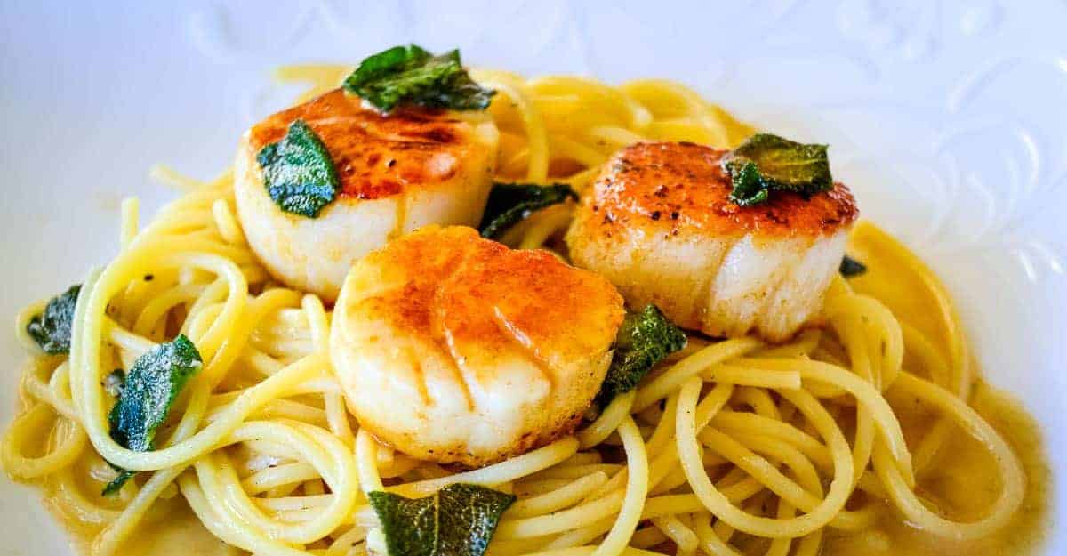 Three seared scallops on a bed of spaghetti, garnished with crispy sage leaves on a white plate.