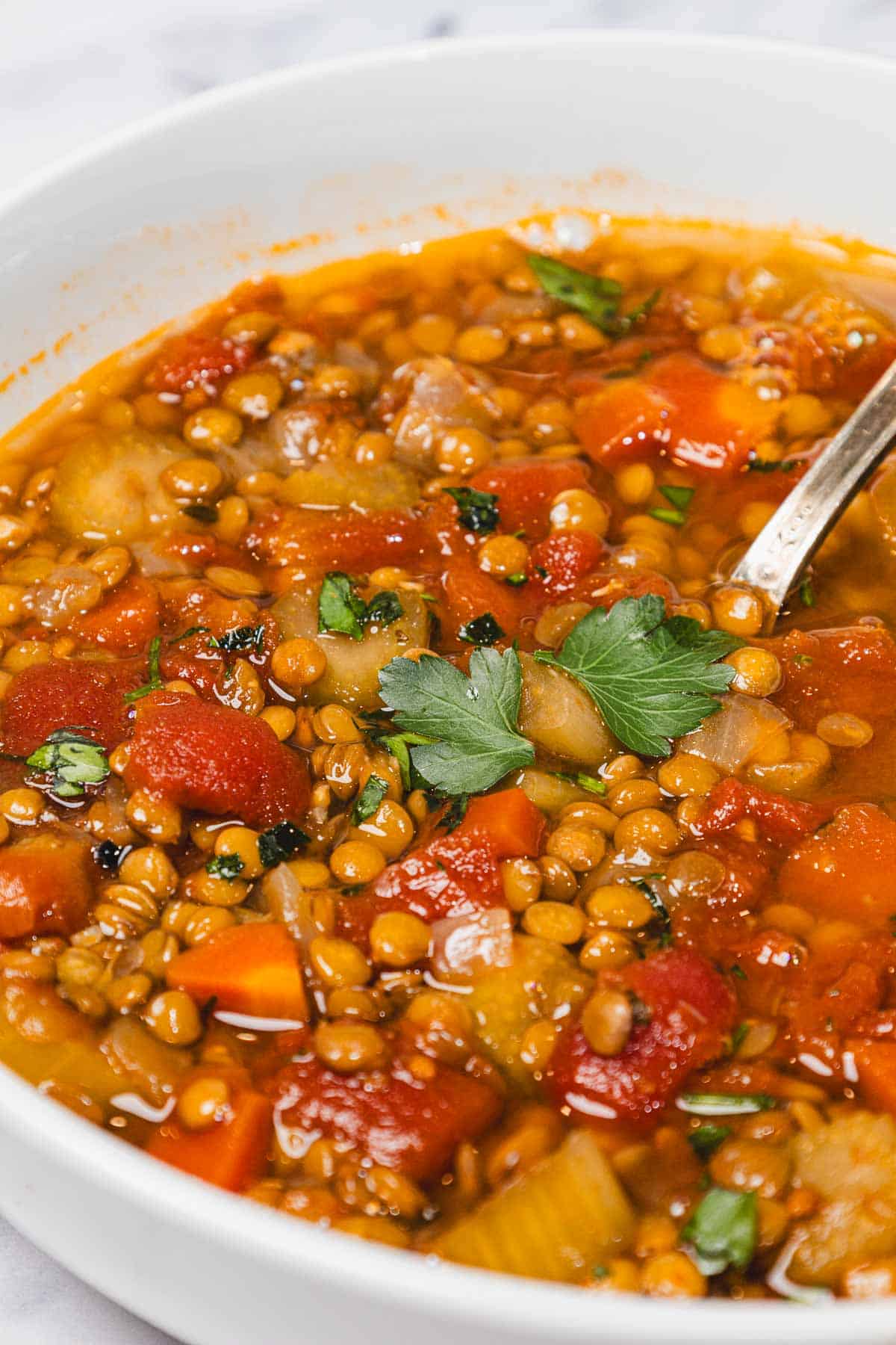 A bowl of lentil and carrot soup with tomatoes, herbs, and a spoon, garnished with fresh parsley.