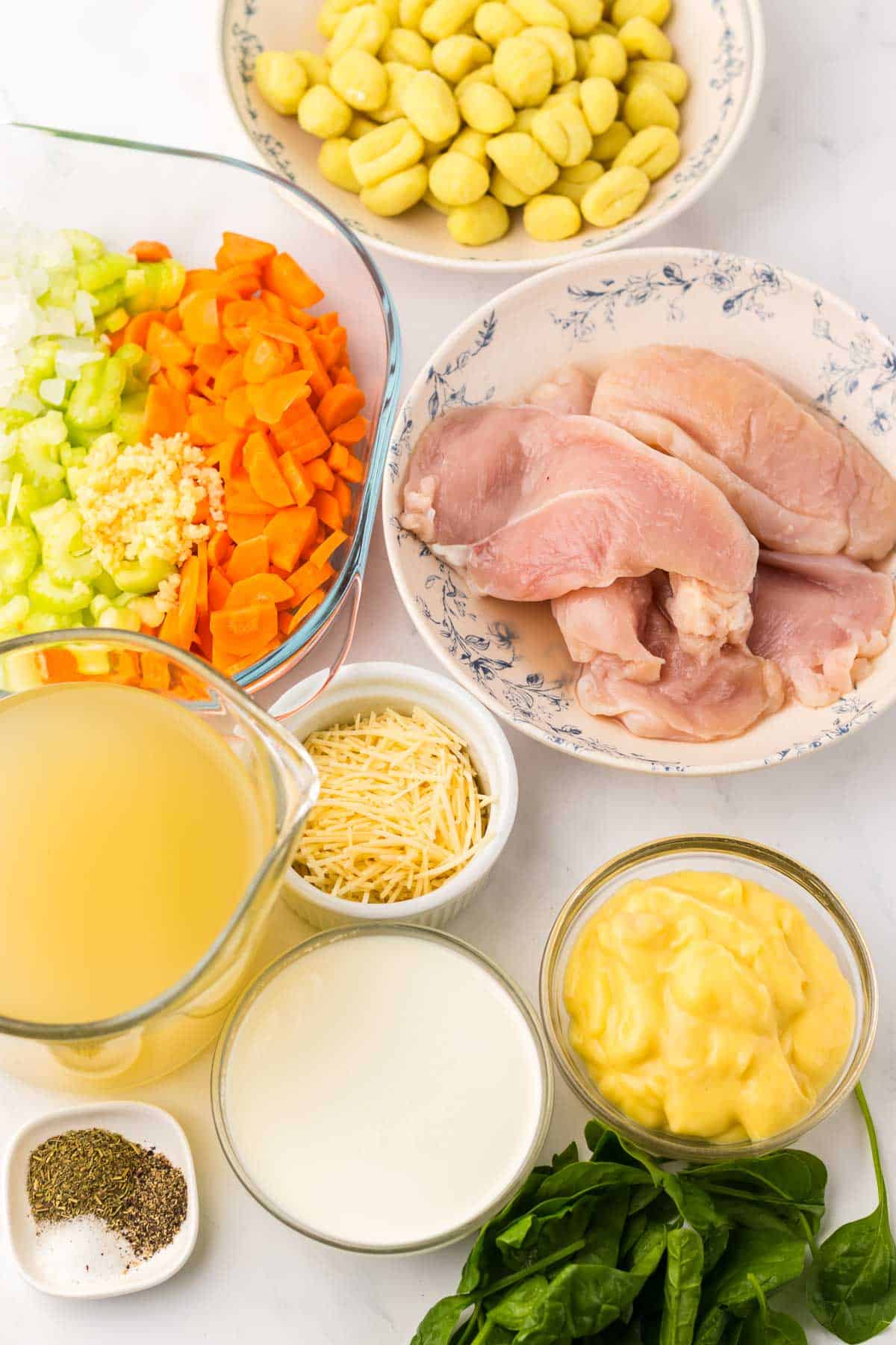 Raw chicken, gnocchi, chopped carrots, celery, onion, garlic, spinach, broth, cream, soup, cheese, and seasonings.
