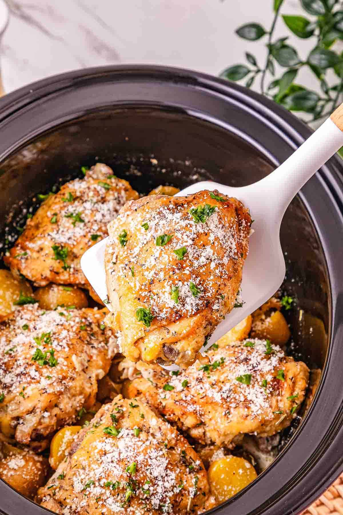 A spatula lifts a savory Garlic Parmesan Chicken thigh with herbs and cheese from a Crockpot filled with more delicious chicken inside.
