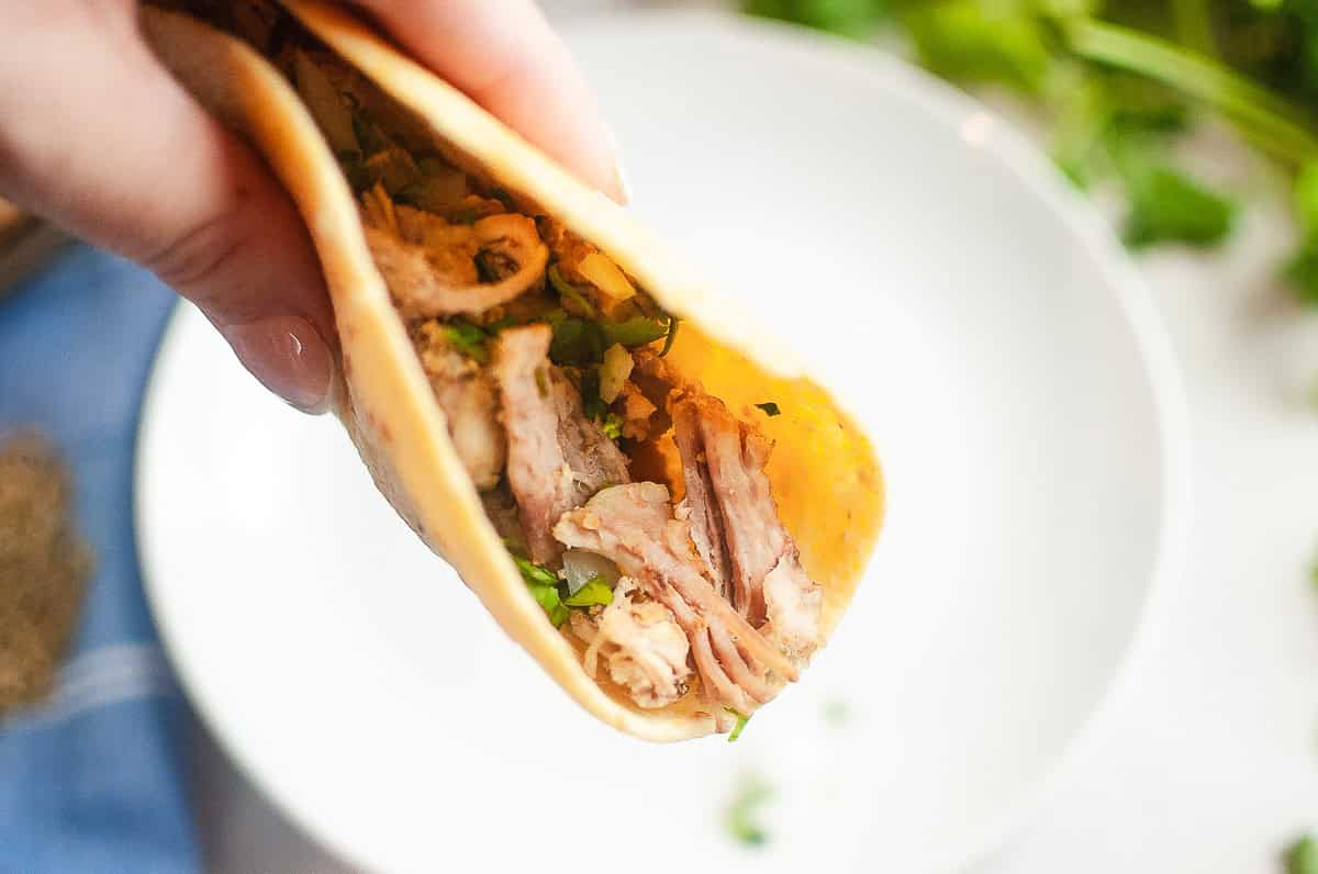 Hand holding a taco filled with tender Instant Pot carnitas and chopped cilantro over a white plate.