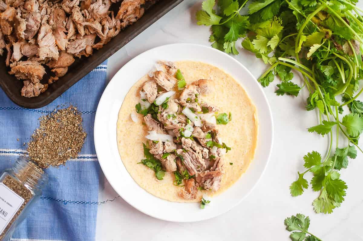 Corn tortilla topped with tender Instant Pot carnitas, onions, and cilantro on a plate, with herbs and seasoning nearby.