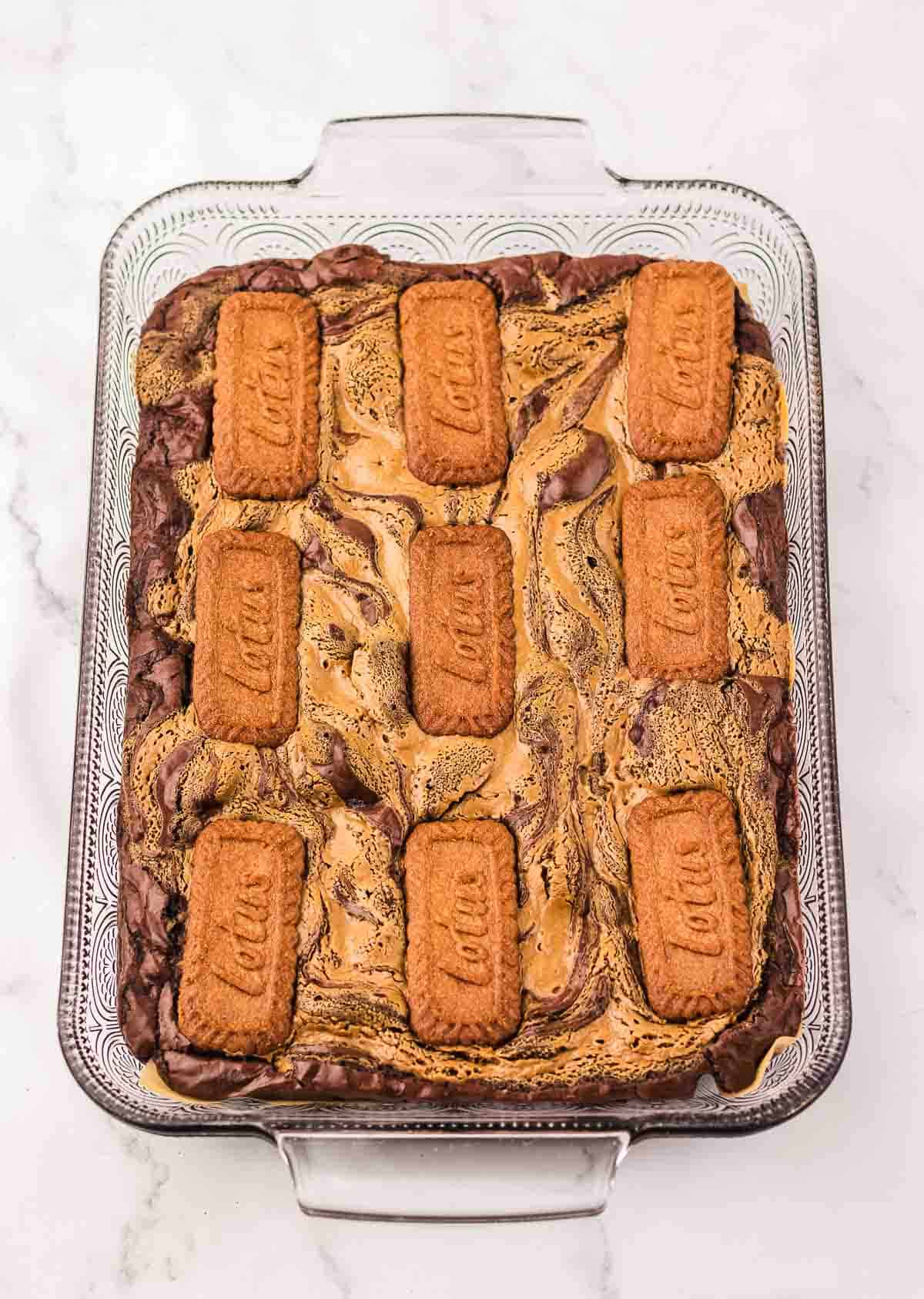 A glass tray of marbled brownies topped with nine rectangular Biscoff cookies—an irresistible brownie recipe for any sweet tooth.